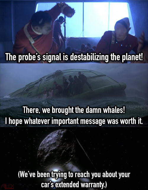 902.jpeg