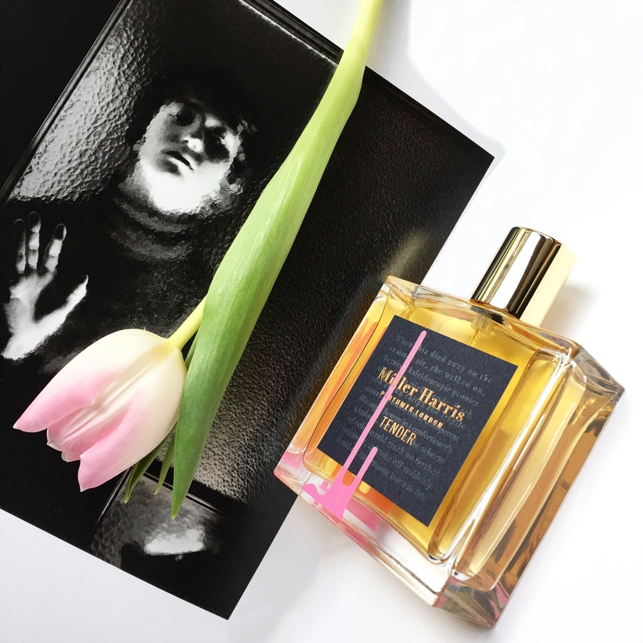 The Beauty Cove IL PROFUMO TENDER di MILLER HARRIS
