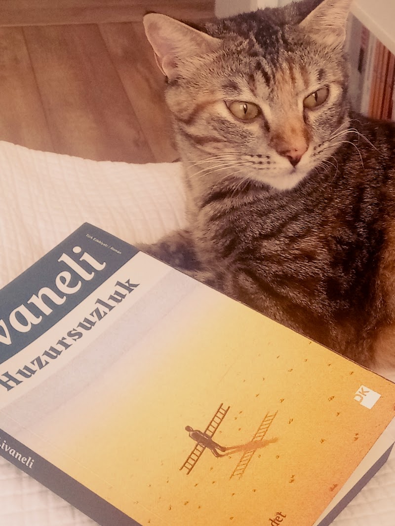 Huzursuzluk - Zülfü Livaneli - Kitap Yorumu