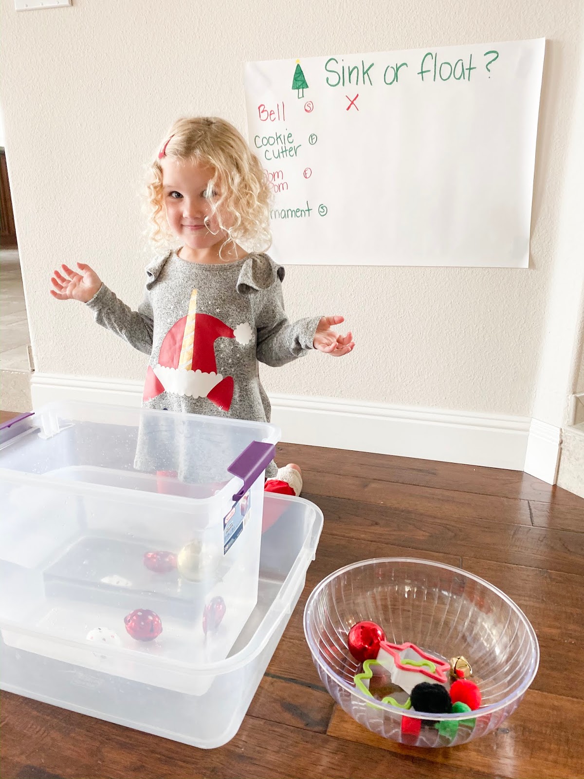 Toddler Approved! Christmas Sink or Float Toddler Science