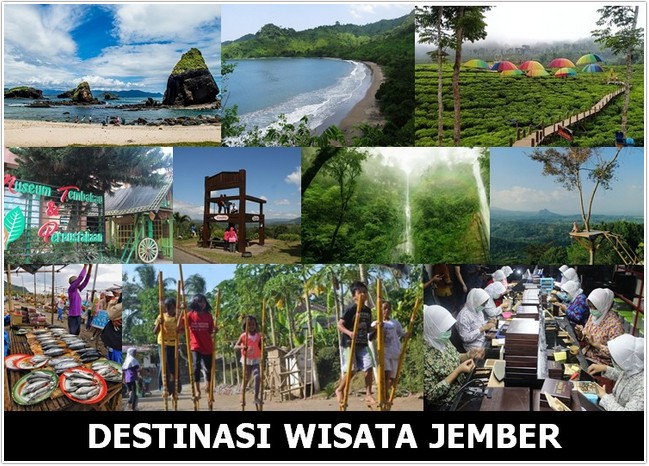 tx travel jember