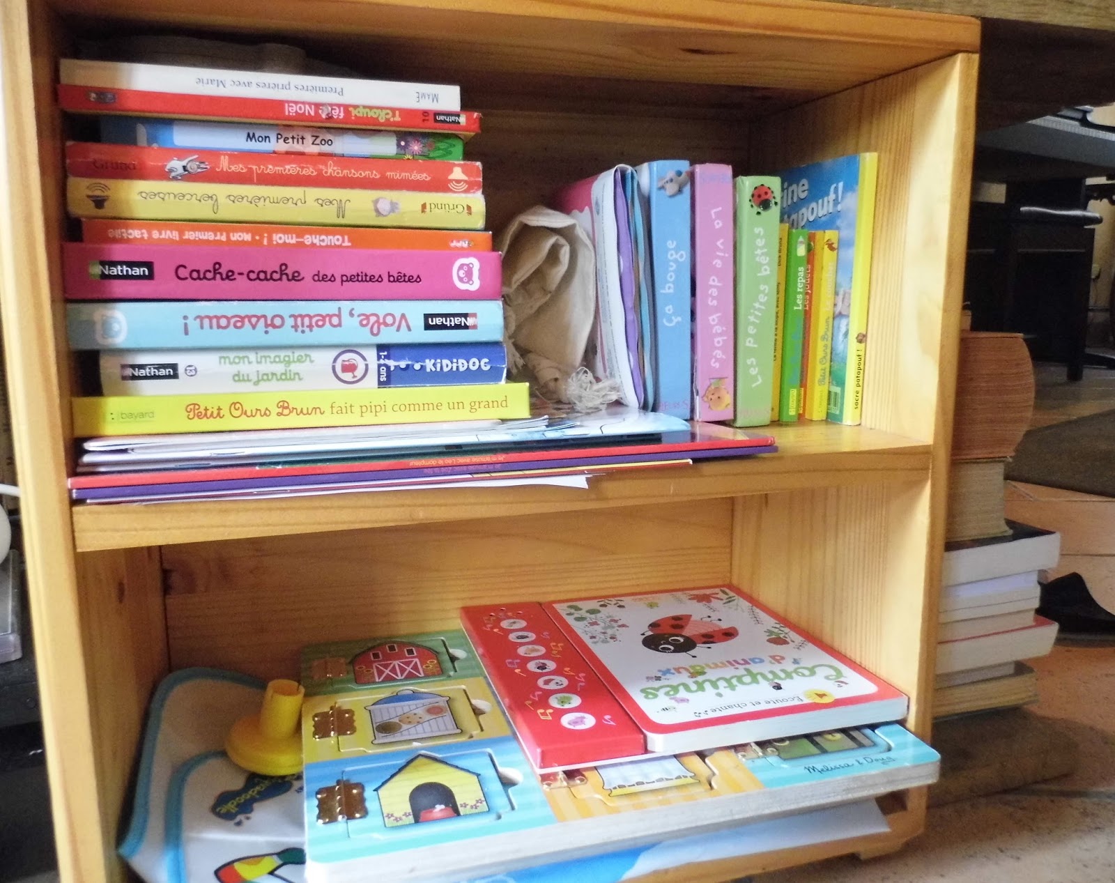 La maison du bonheur: mes livres, mes étagères, mon bordel