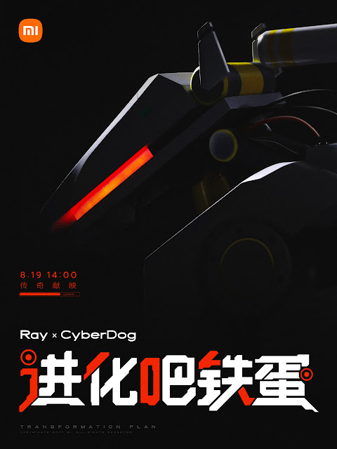RAY x CyberDog