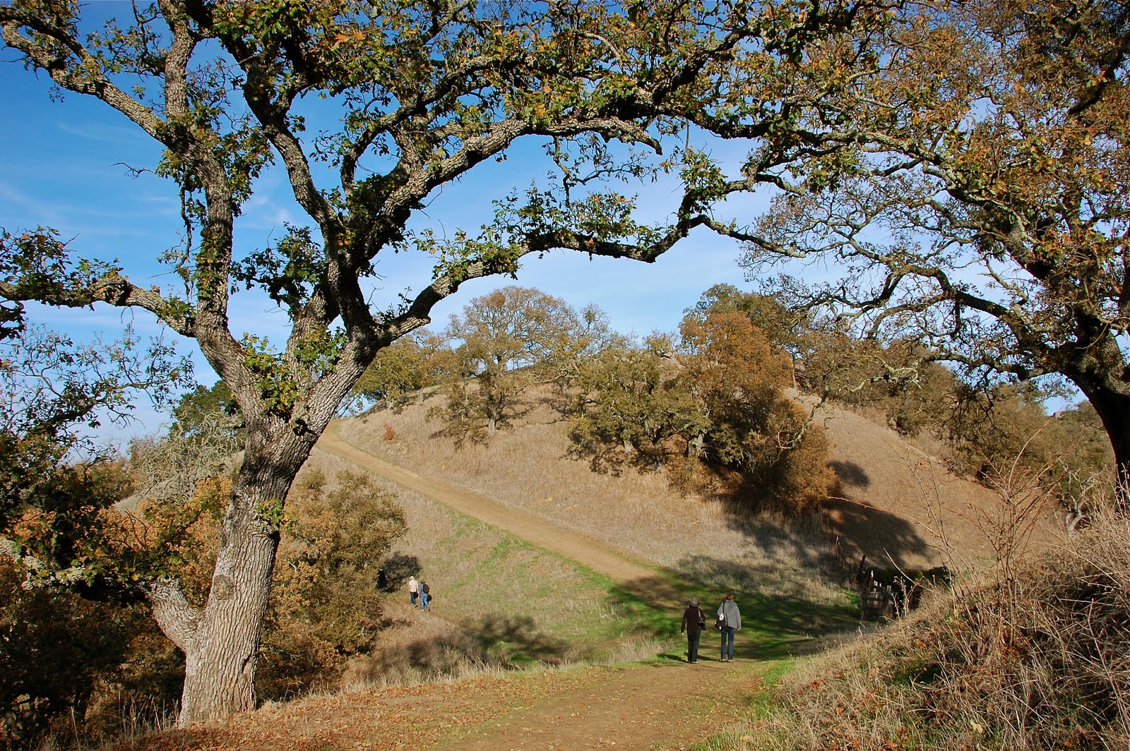 Travels with L (and sometimes Z & F) Briones Regional Park, CA