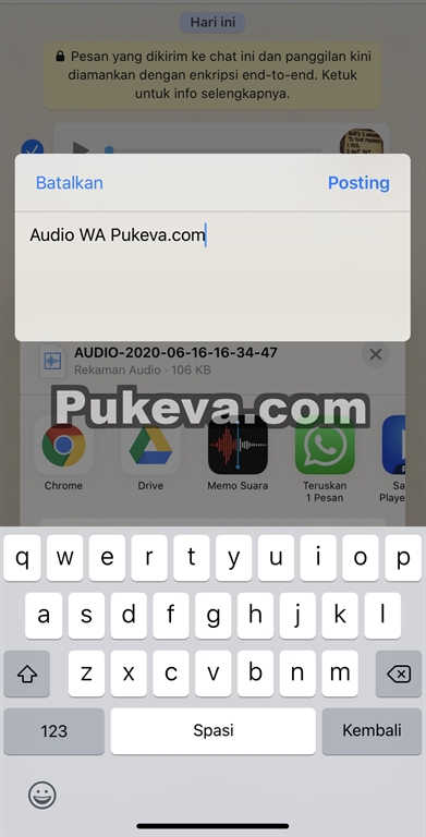Cara Menyimpan Rekaman Audio Pesan Suara Whatsapp Di Iphone Pukeva