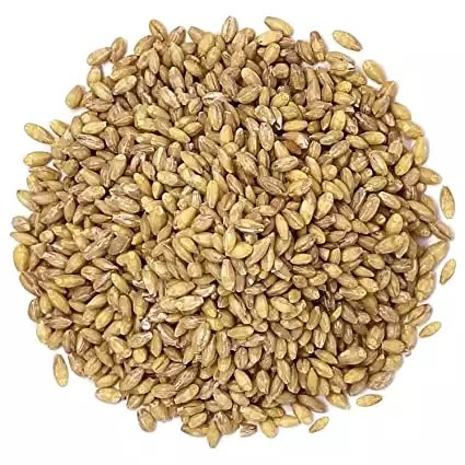Types of Barley