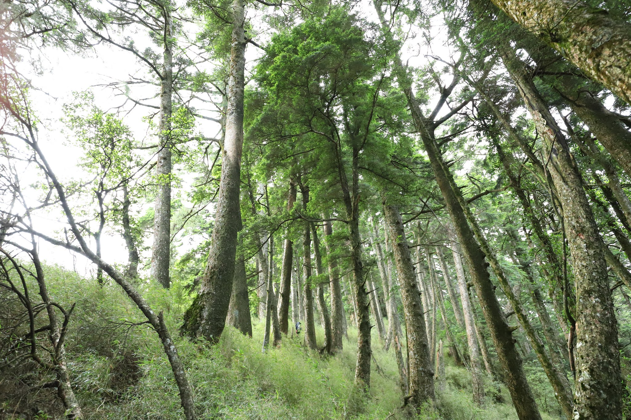 鈴鳴山前的高遶