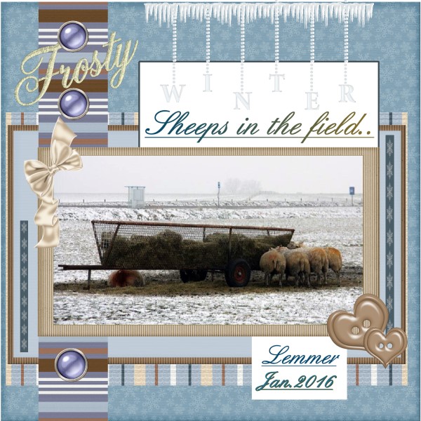 Jan.2016 – Winter Lemmer Sheeps...