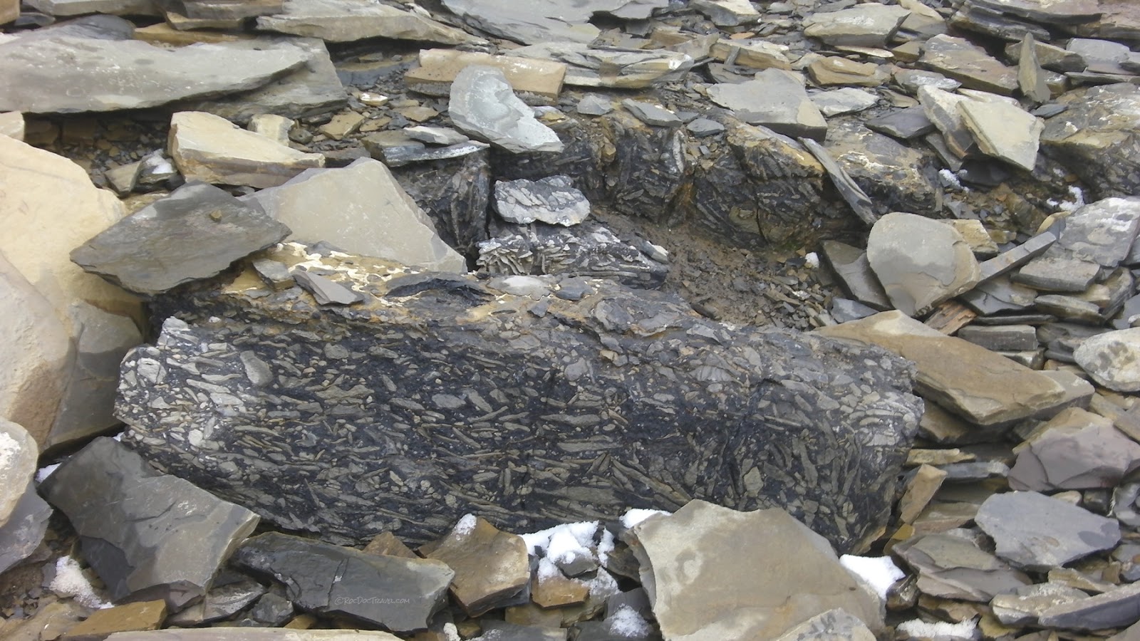 Burgess Shale, B.C. Roc Doc Travel