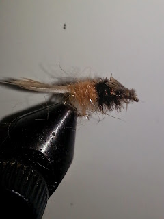 Another Pheasant-Tail Nymph