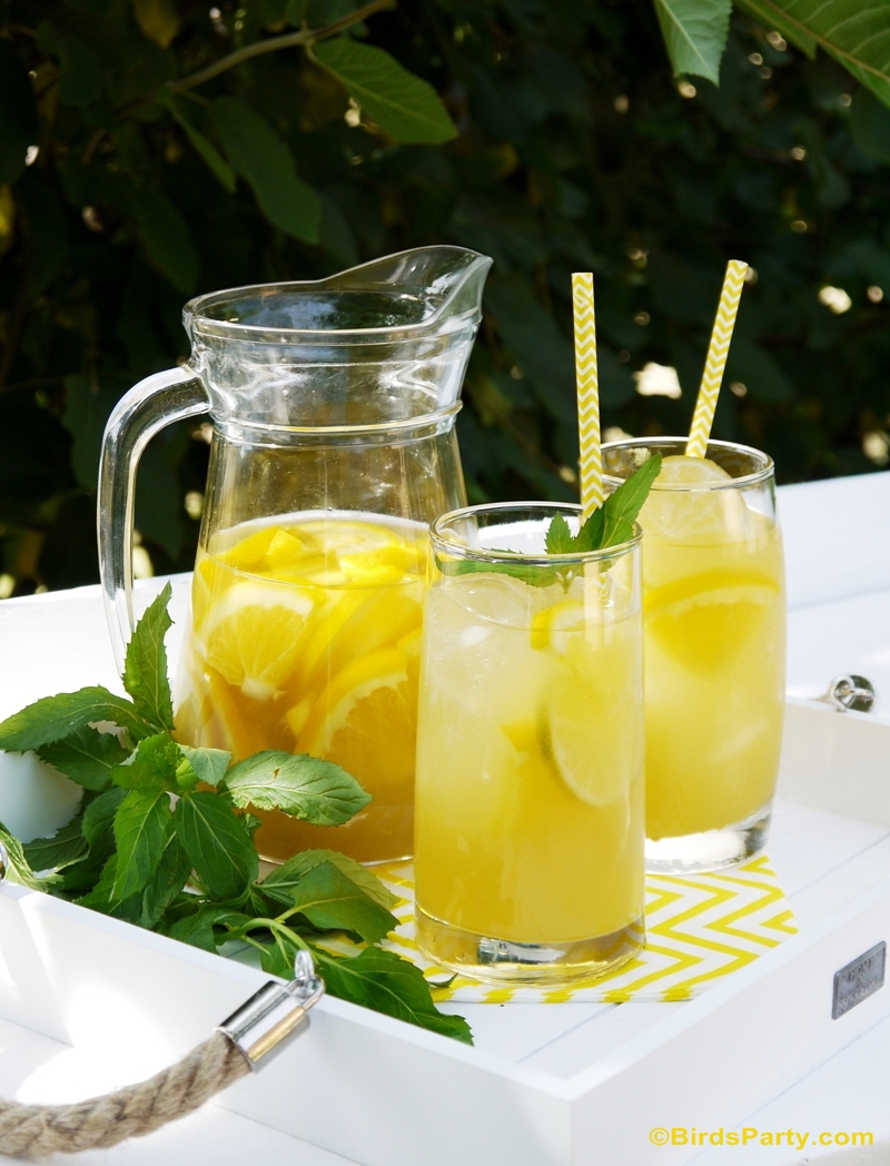 Skinny & Healthy Citrus Green Iced Tea Recipe - BirdsParty.com