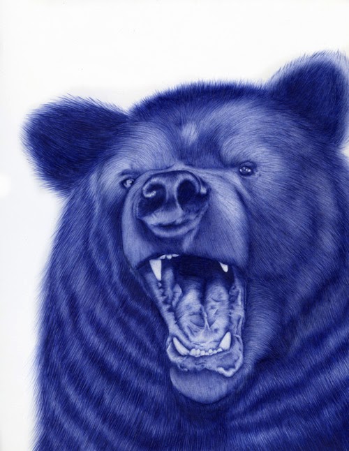 03-Bear-Sarah-Esteje-ABADIDABOU-Hyper-realistic-Ballpoint-Pen-Animals-www-designstack-co