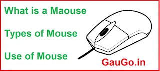 what is a mouse, what is mouse in computer, what is the use of mouse, trackball, types of mouse, types of computer mouse, different types of mouse, use of mouse, what is the use of mouse,