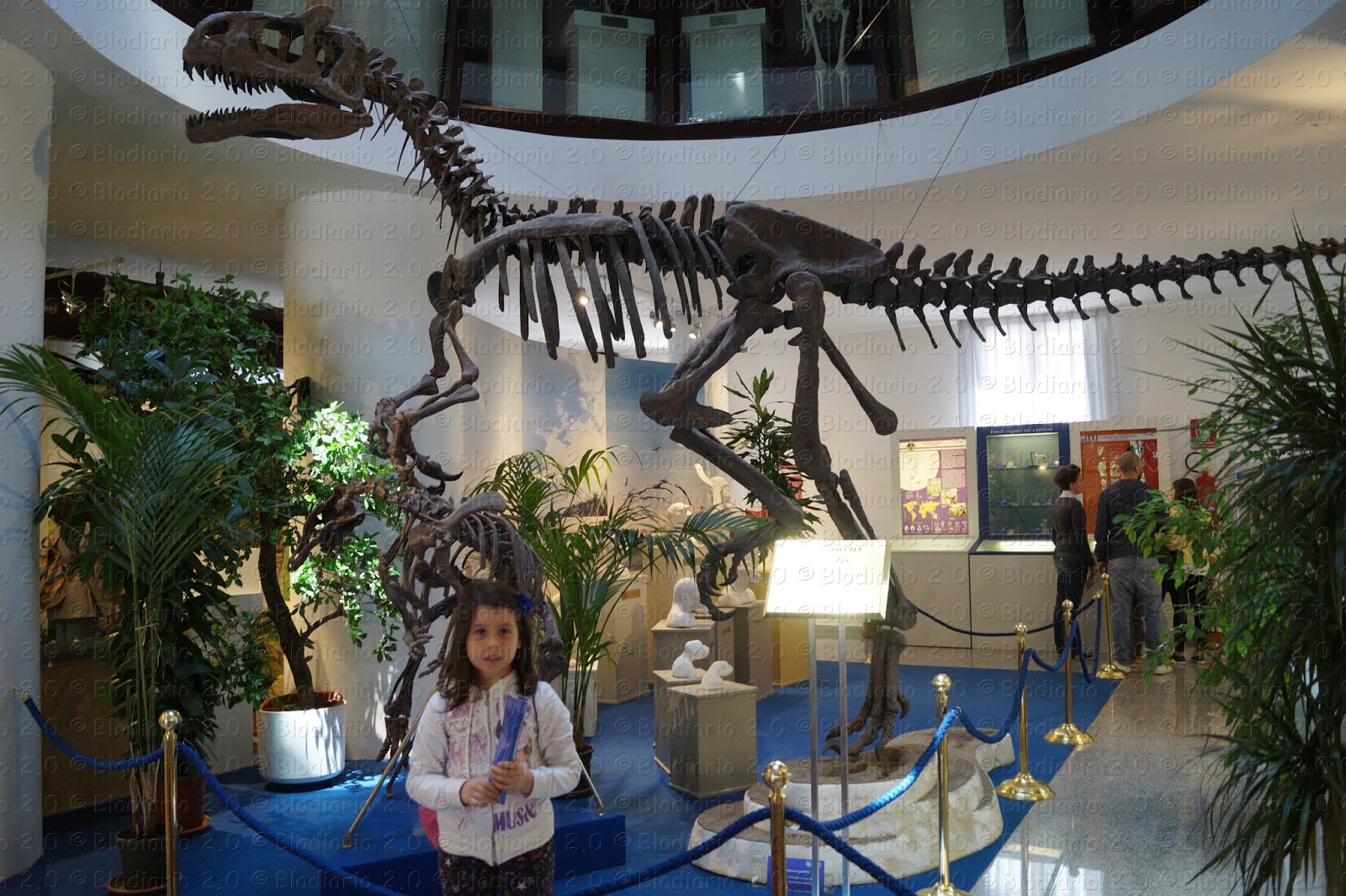 Museo Universitario di Chieti