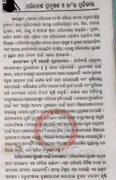 environment pollution essay in odia