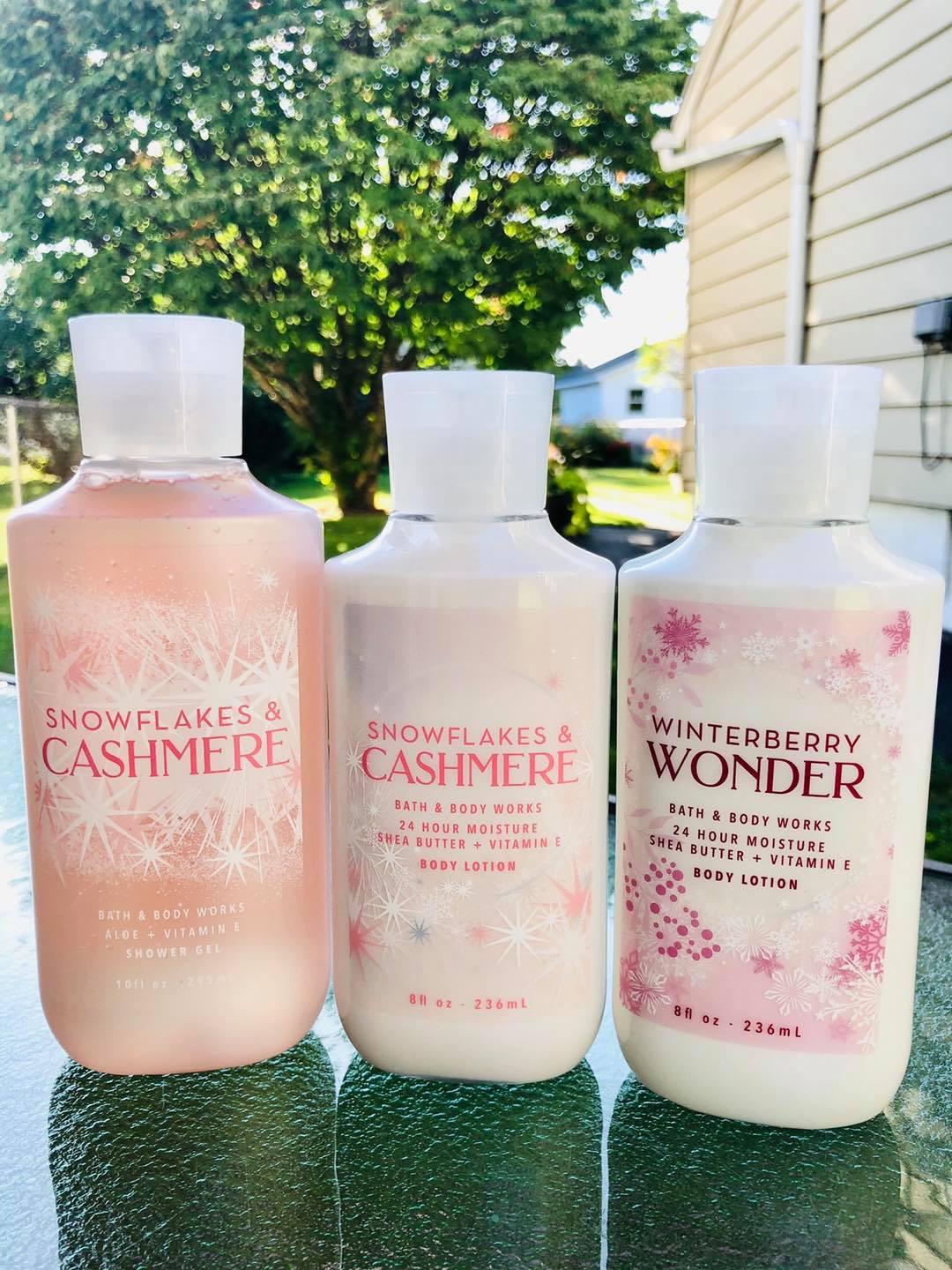 Life Inside the Page Bath & Body Works New Holiday Body Care