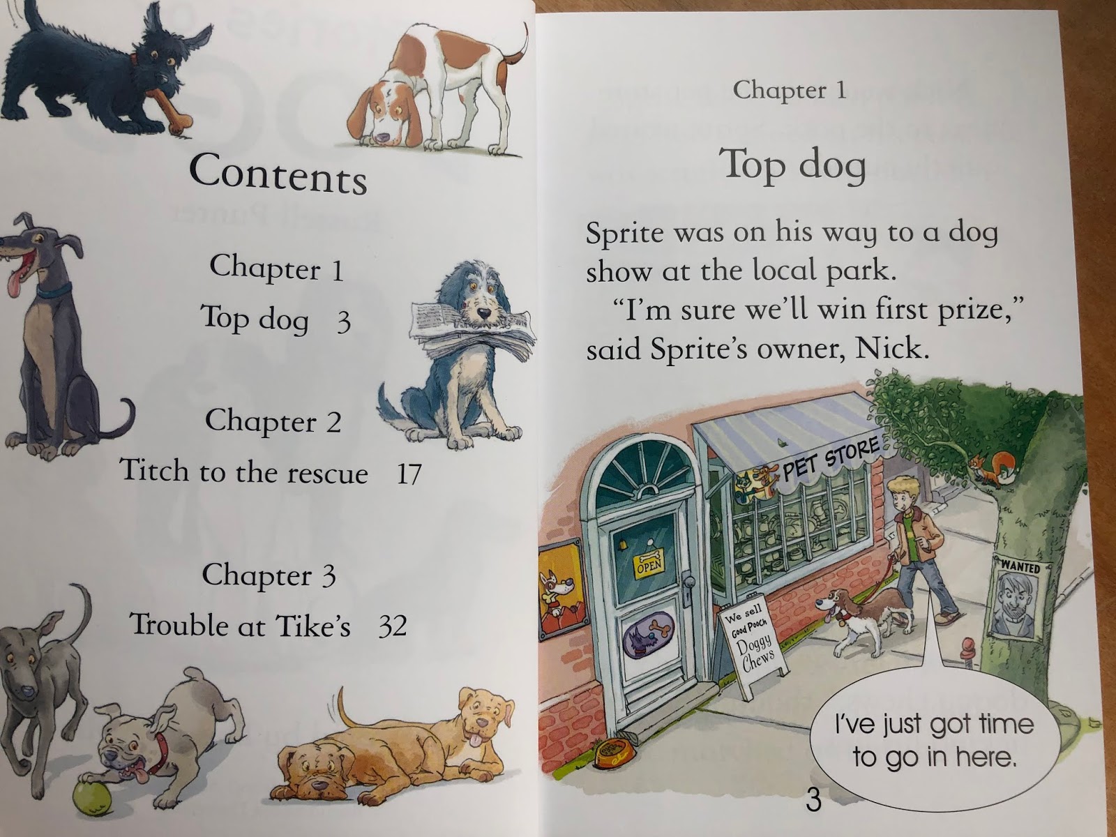 Abundant Family Living Stories of Dogs (Read with Usborne, Level 3)