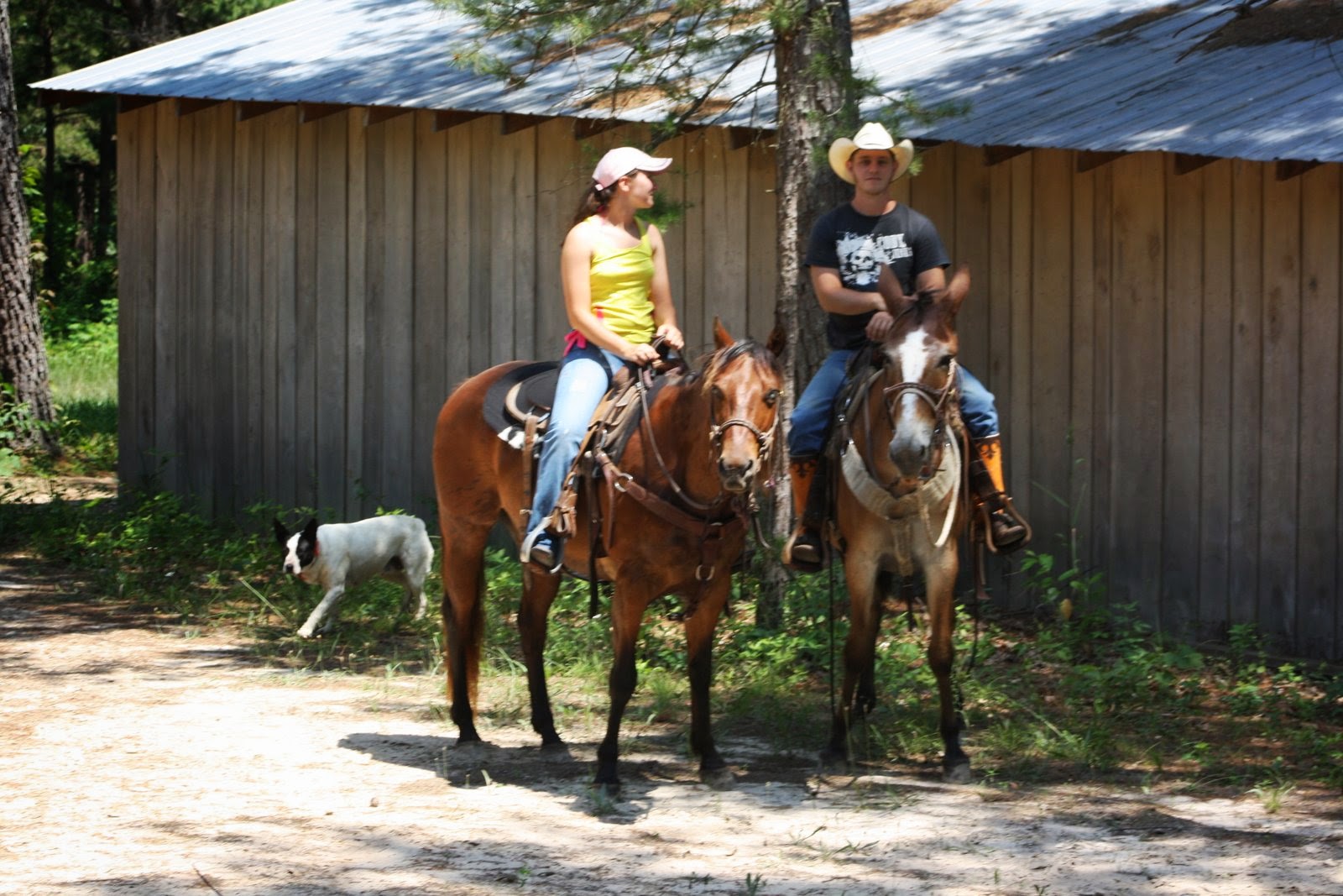 PairADice Mules: Trail Riding in July