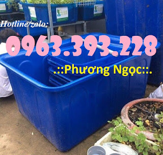 Thùng nhựa dung tích lớn, thùng nhựa công nghiệp, thùng nuôi cá 68b5bd4bfdb31aed43a2