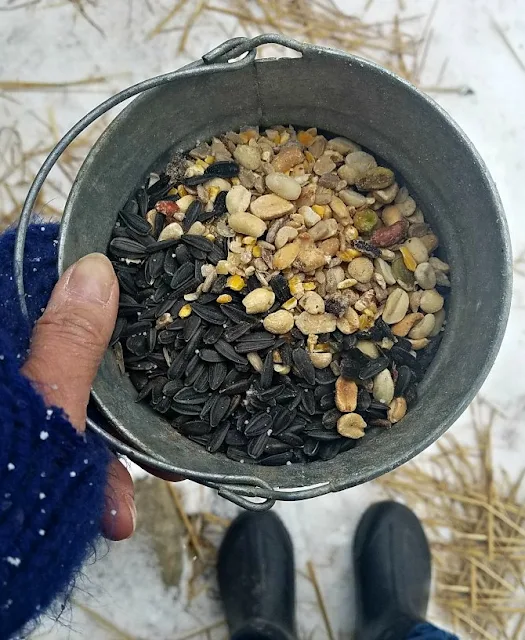 pail of seeds and nuts