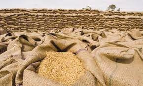پنجاب بھر میں یکم اپریل سے گندم کی خریداری کیلئے باردانےکی تقسیم شروع ہوگی