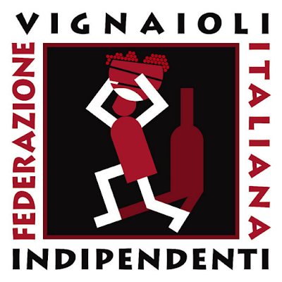 fivi logo