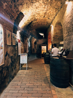 Valtice, Czech Republic - Go wine tasting more than 100 wines in a castle