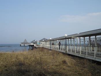 Chiru Und Sali Als Urlaubschecker Heringsdorf Usedom About Dogs And Chiru Hundeblog