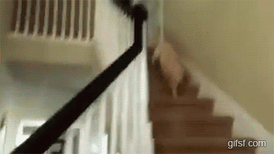 1.gif