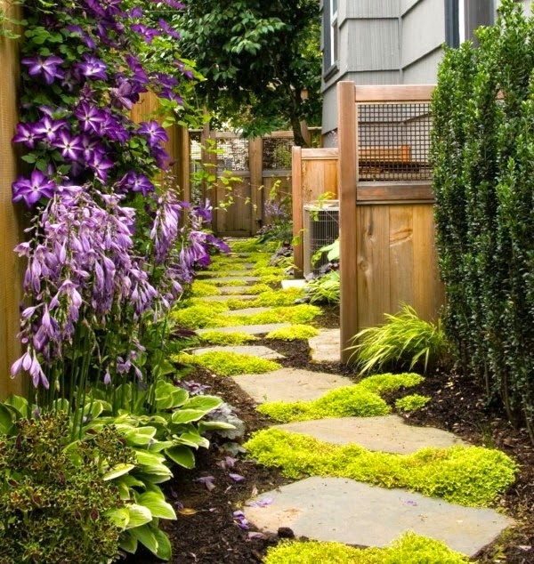 Tips for the home garden during September