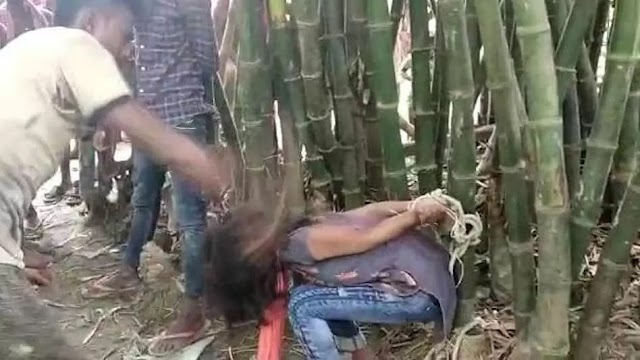गांव के युवकों ने प्रेमी युगल को बांस के पेड़ में बांधकर की पिटाई, सोशल मीडिया में आपत्तिजनक वीडियो किया वायरल