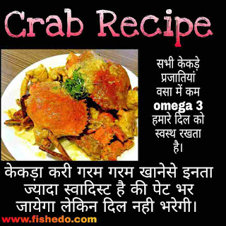 Sea Crab Recipe, Crab Food, Crab Benefits, Crab Cooking, Crab Test Like, Crab Look Like, Size, Found, Scientific Name, Family and Species