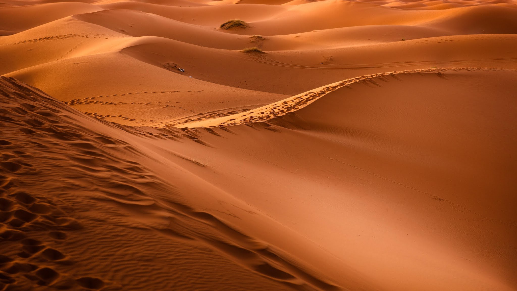 Desert 4K Ultra HD Wallpaper