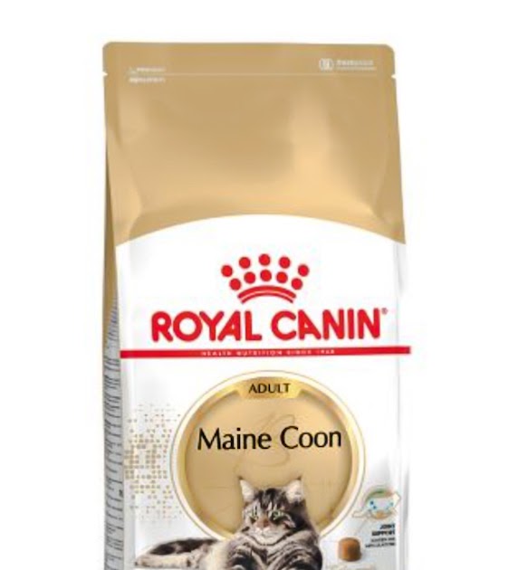 Why Royal Canin Maine Coon adult cat food may help your cat's health
