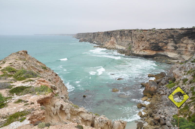P&A GoGoGo Head of Bight, Penong, Cactus Beach