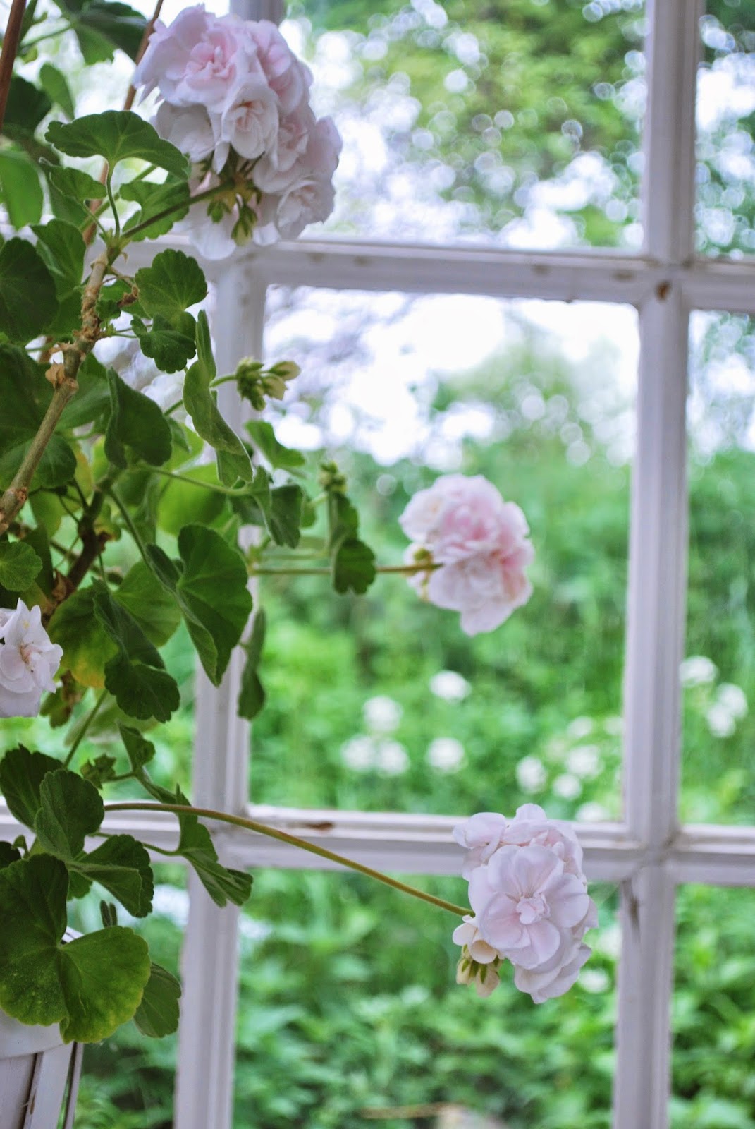 Детский день рождения в саду...