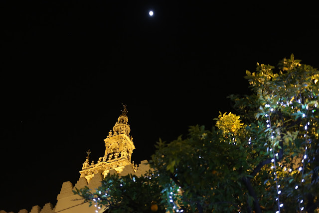 Fotografía nocturna de la giralda sobre la copa de un naranjo amargo Fotografía nocturna de la giralda sobre la copa de un naranjo amargo