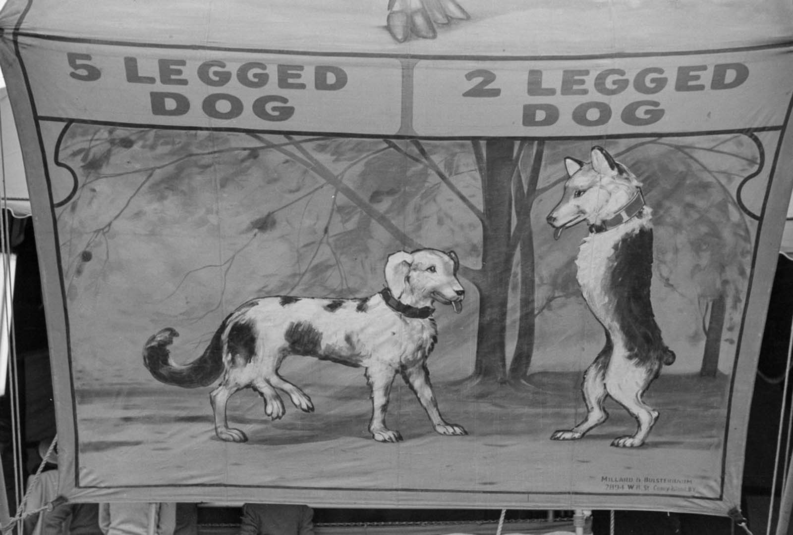 Rutland State Fair old photographs delano