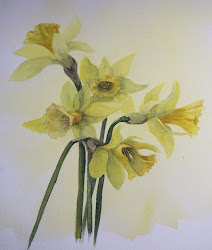 watercolor daffodils harden rusty painting imperfection beauty