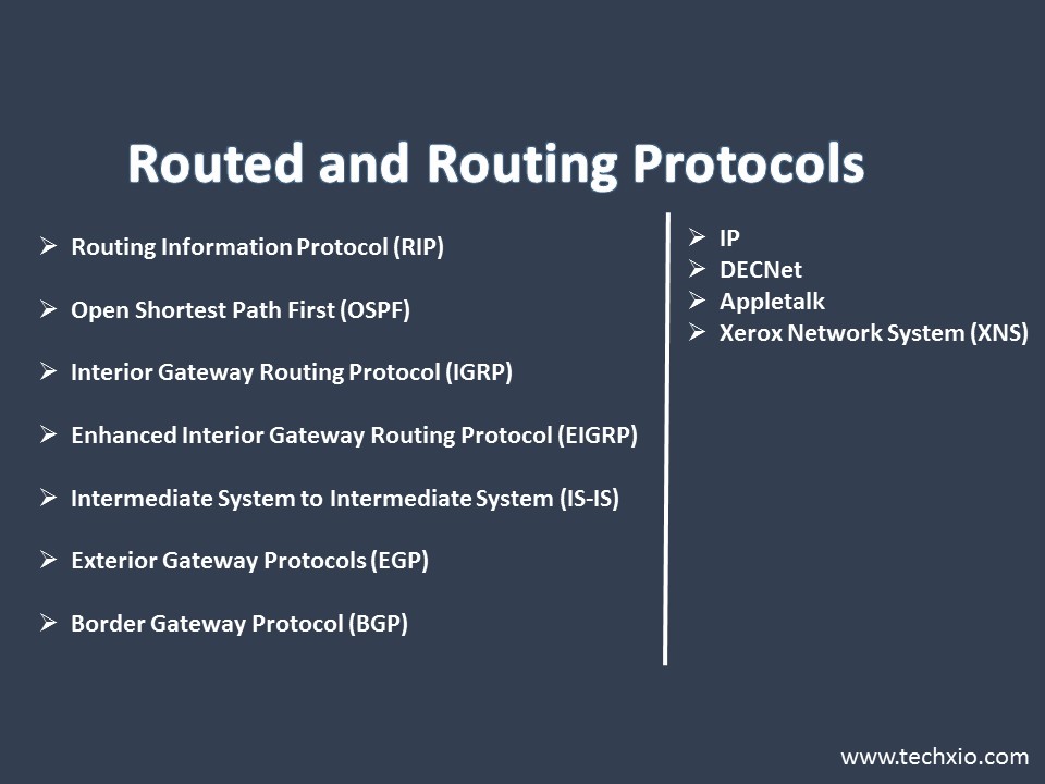 Routed And Routing Protocols