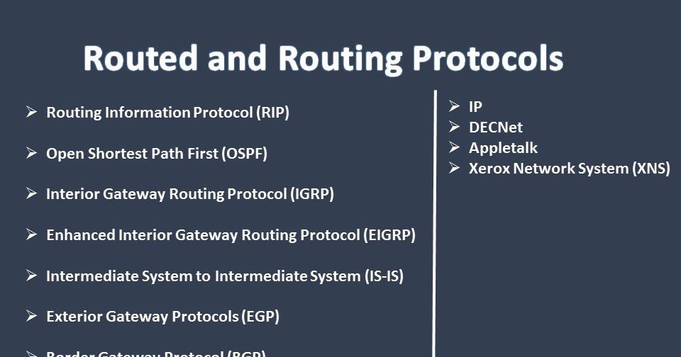 Routed and Routing Protocols