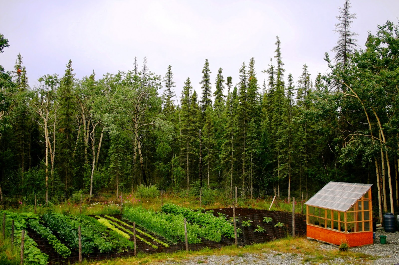 What's It Really Like To Live In A Log Cabin In Alaska? Bearfoot