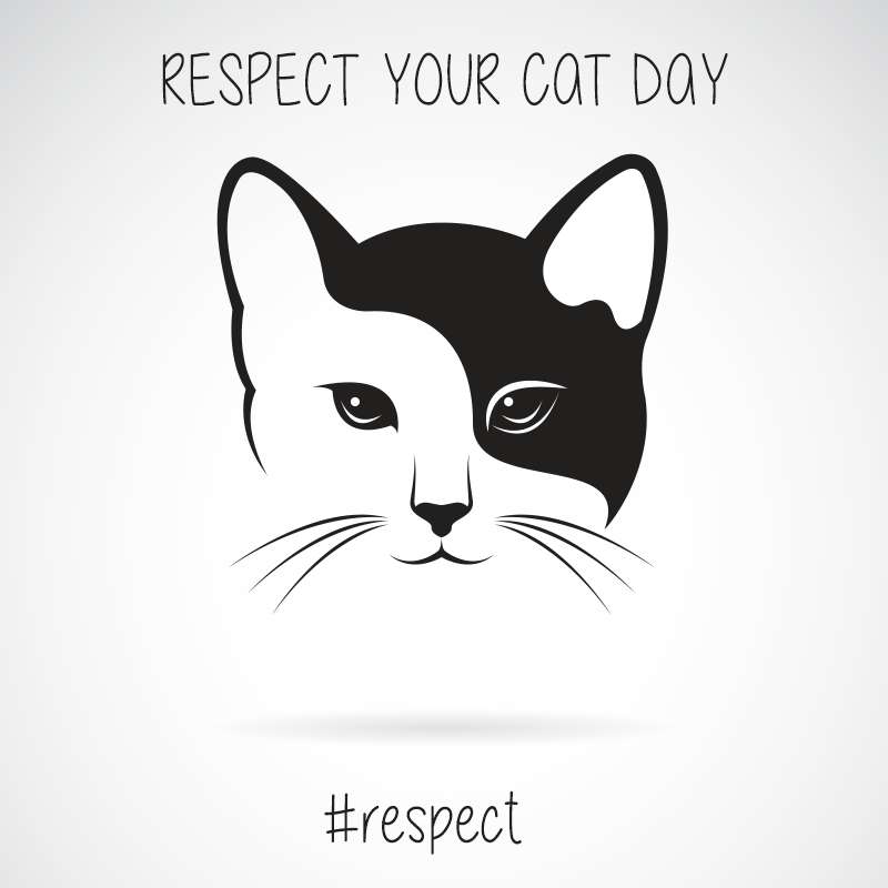 Respect Your Cat Day Wishes Pics Respect Your Cat Day Wishes Pics