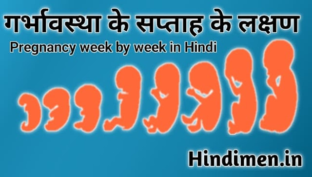 Symptoms baby growth twins pregnancy Information about pregnancy week by week in hindi video pdf youtube,