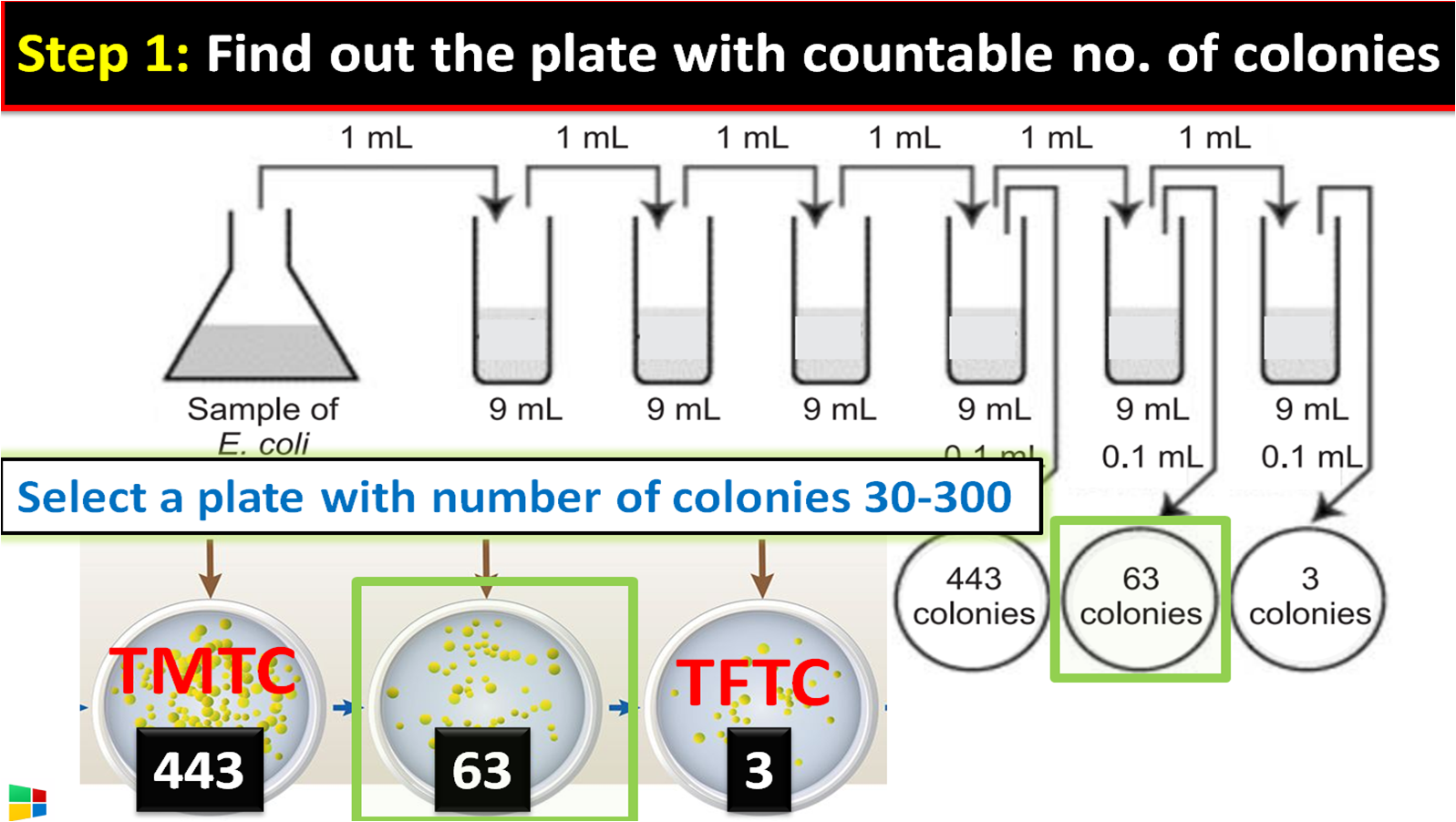 plate with countable no. of colonies