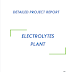 Project Report on Electrolytes Plant