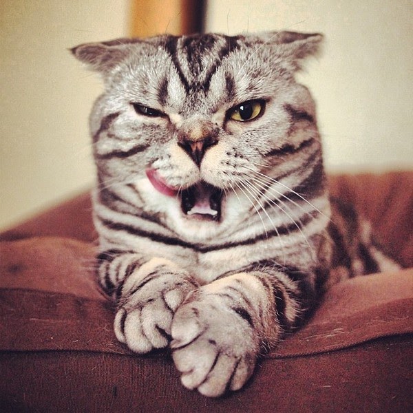 ((Mood down))