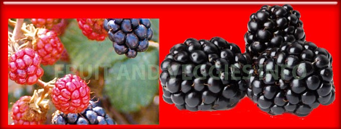 Blackberries Healthy Fruit