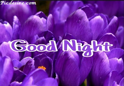 Top 101 Good Night Images || Best Good Night Images Top 101 Good Night Images || Best Good Night Images