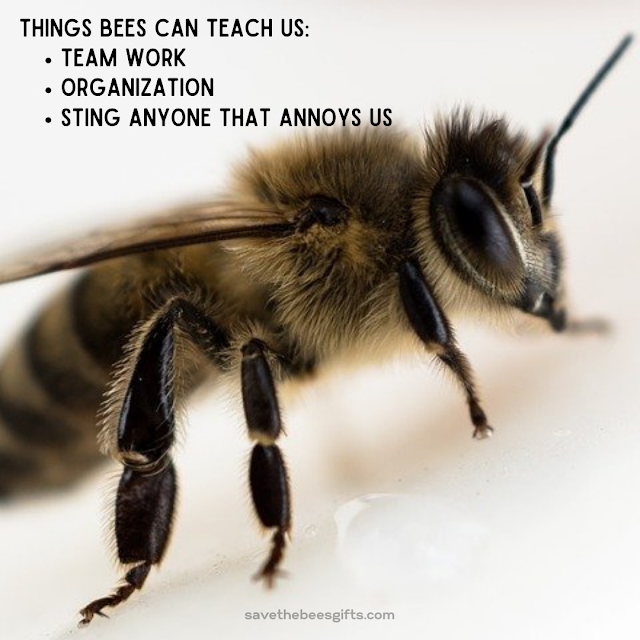 Save Bees Memes